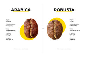 Arabica vs Robusta